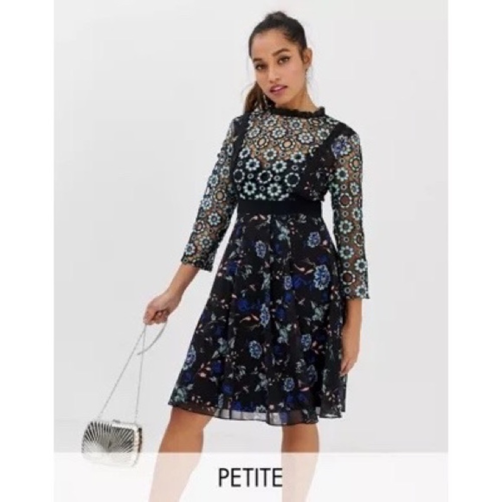 Little Mistress Petite Floral Lace Skater Dress Black & Blue